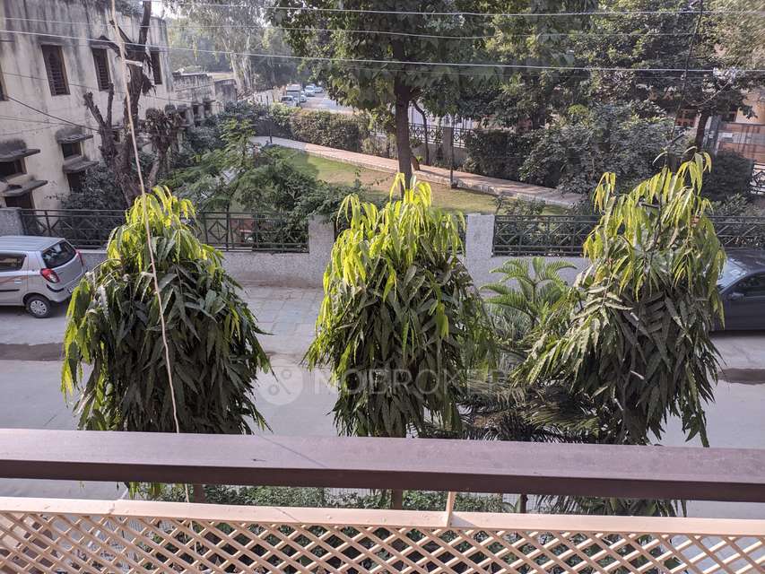 2 BHK Flat In 638 Sector 22b for Rent  In 638, Sector 22b