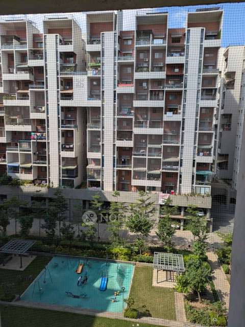 2 BHK Flat In Rohan Abhilasha for Rent  In Wagholi