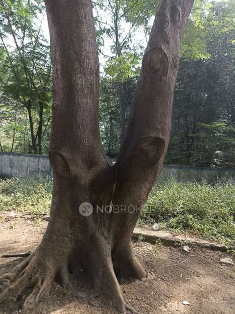 Industrial Shed in Charlapally , Hyderabad for Rent 