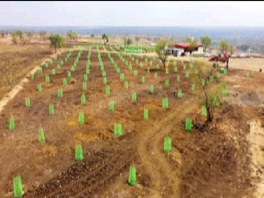 Plot For Sale  In Sampangi Group Of Companies In 65, 14-167\a I D A, National Highway, Opp. Patancheru Toll Plaza, Bandalguda, Sreeram Nagar Colony, Patancheruvu, Ramachandrapuram &#40;bhel Township&#41;, Telangana 502319, India