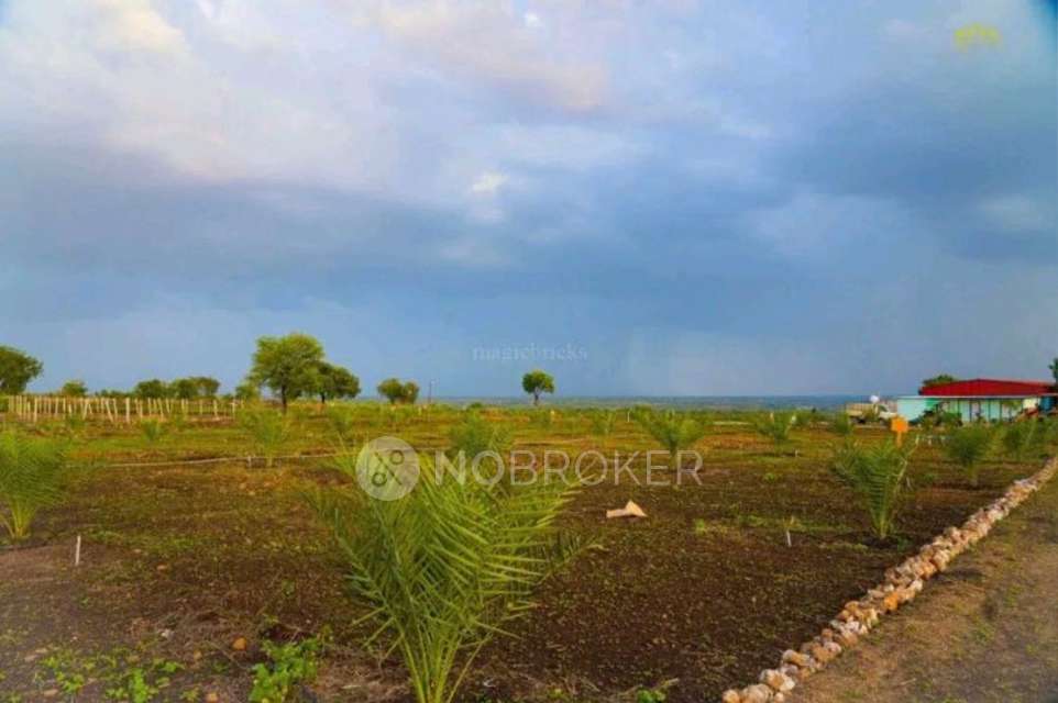 Plot For Sale  In Sampangi Group Of Companies In 65, 14-167\a I D A, National Highway, Opp. Patancheru Toll Plaza, Bandalguda, Sreeram Nagar Colony, Patancheruvu, Ramachandrapuram &#40;bhel Township&#41;, Telangana 502319, India