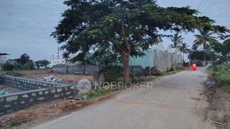 Plot For Sale  In Alasanatham Thotagiri Rd