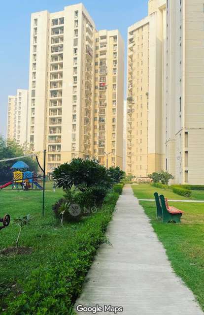 Shared Room for Male In 2 BHK  In Apartment In Sector 134