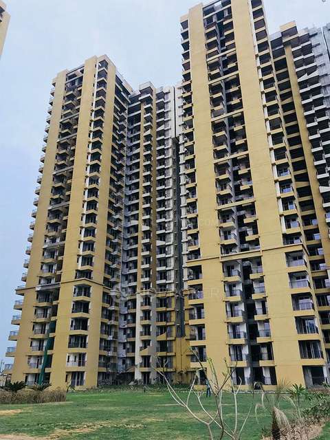 3 BHK Flat In Unnati Fortune The Aranya for Rent  In Sector 119