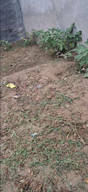 Plot For Sale  In Roop City Colony Kulesra In Roop City Colony