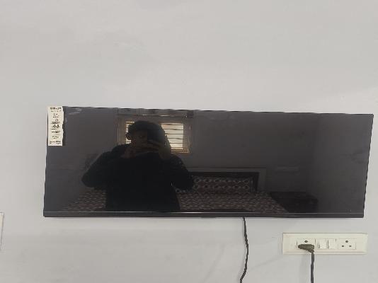 PG for Anyone in Sector 38