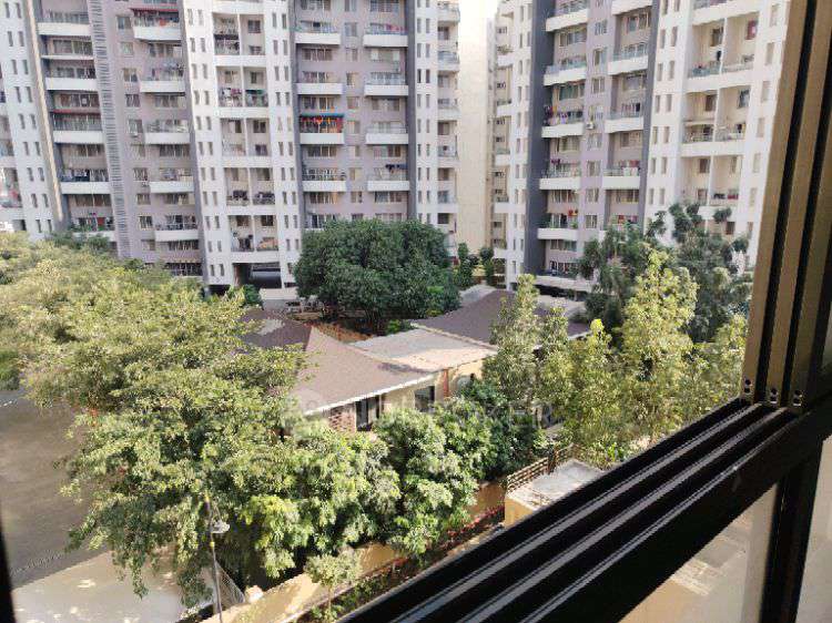 1 BHK Flat In Annika Piccadily for Rent  In Pimpri-chinchwad