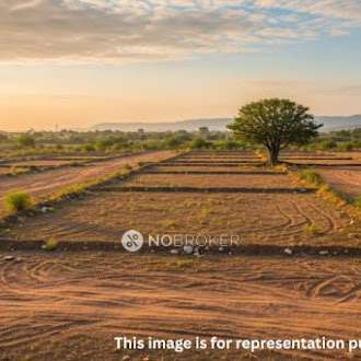 3 BHK Flat In Bptp Disctrict for Rent  In Sector 81