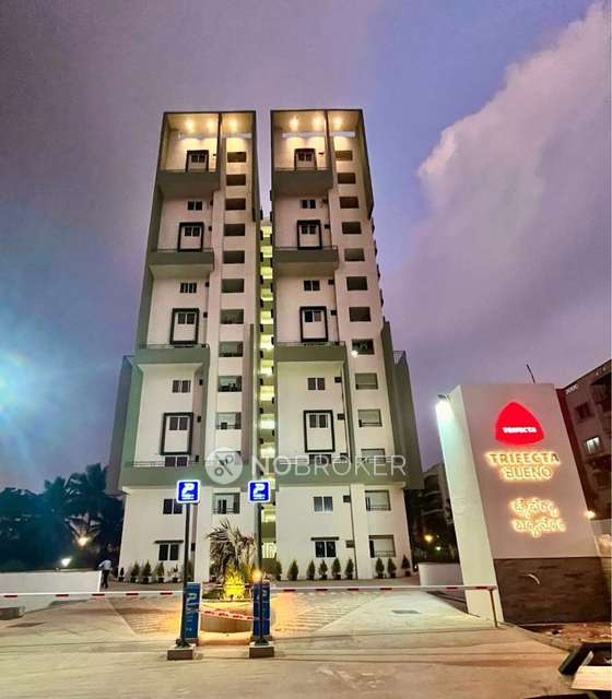 2 BHK Flat In Trifectta Beuno For Sale  In Chikkakannalli