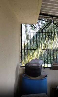 1 BHK Flat In Shree Sai Sparsha For Sale  In Vivek Sports