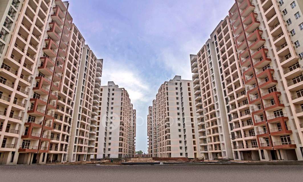1 BHK Flat In Navodaya For Sale  In Sector 92