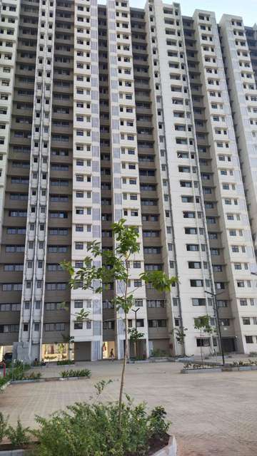 1 BHK Flat In Mhada Colony for Rent In Kalyan