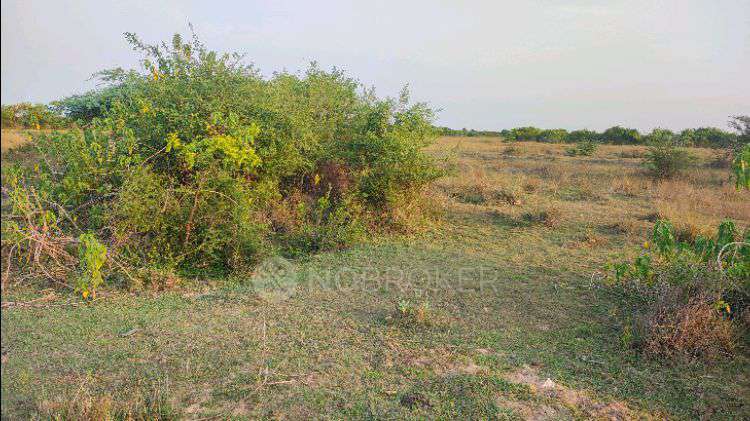 Plot For Sale  In Thiruvallur In Aranvoyal