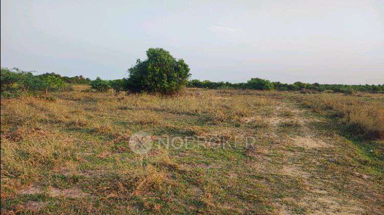 Plot For Sale  In Thiruvallur In Aranvoyal