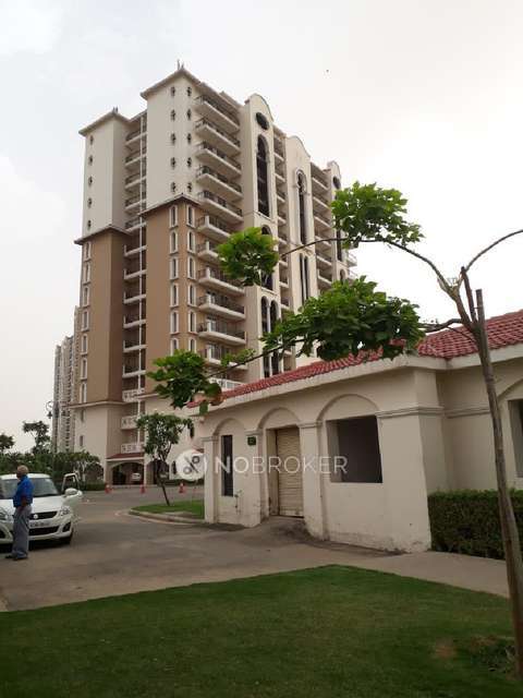 3 BHK Flat In Dlf New Town Heights for Rent  In Sector 90