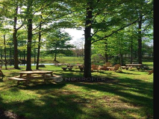 4 BHK Flat In Clove County For Sale  In Sector 151