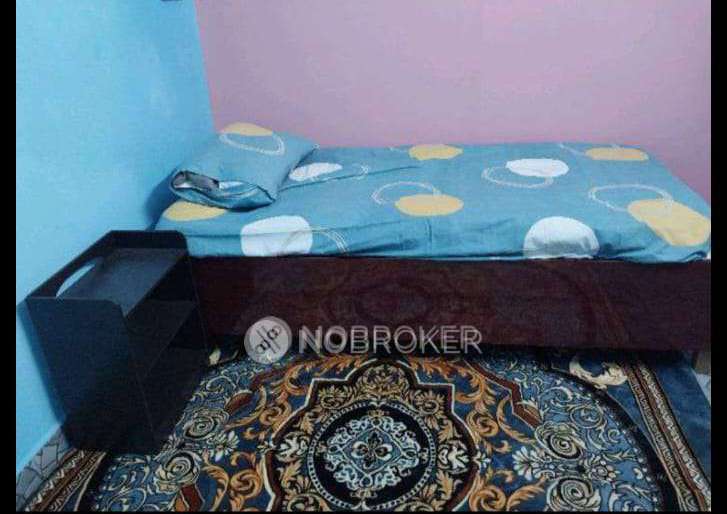 PG for Anyone in 44, Kutty St