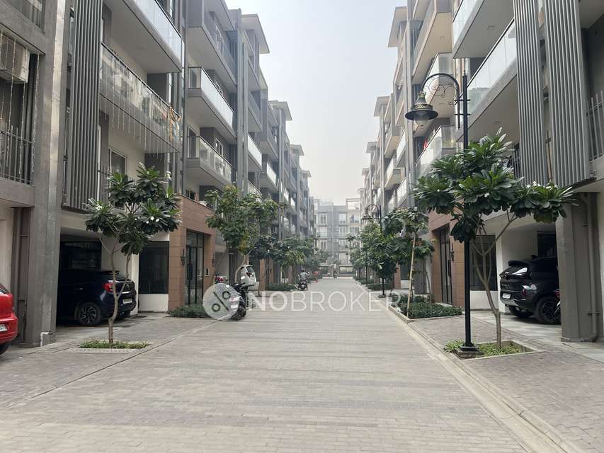 2 BHK Flat In Mrg Primark for Rent  In Sector 90