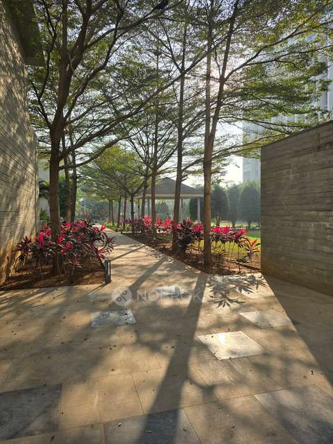 2 BHK Flat In Bhandari 32 Pinewood Drive, Hinjewadi for Rent  In Tata Consultancy Services Limited