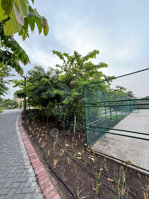 2 BHK Flat In Falcon Tower At Riverview City for Rent  In Loni Kalbhor