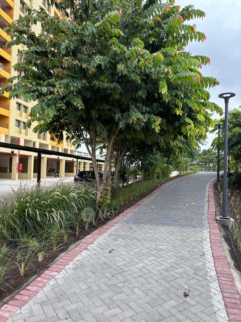 2 BHK Flat In Falcon Tower At Riverview City for Rent  In Loni Kalbhor