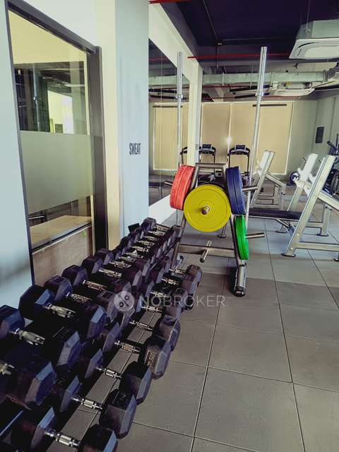 3 BHK Flat In Shapoorji Pallonji, Bavdhan for Rent  In Bavdhan