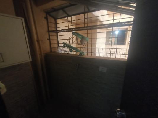1 BHK Flat In Gk Rose Mansion for Rent In Punawale