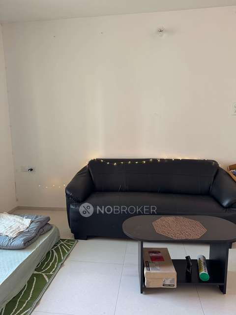 1 BHK Flat In Palladium Plus for Rent  In Dhanori