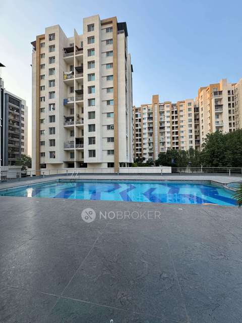 1 BHK Flat In Palladium Plus for Rent  In Dhanori