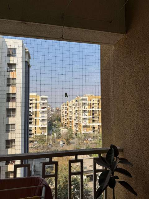 1 BHK Flat In Palladium Plus for Rent  In Dhanori