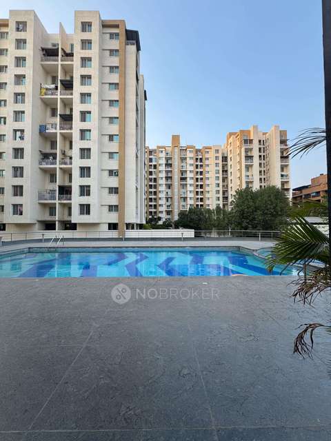 1 BHK Flat In Palladium Plus for Rent  In Dhanori