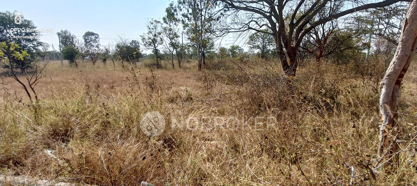 Plot For Sale  In Sivapriya City In Hoskote