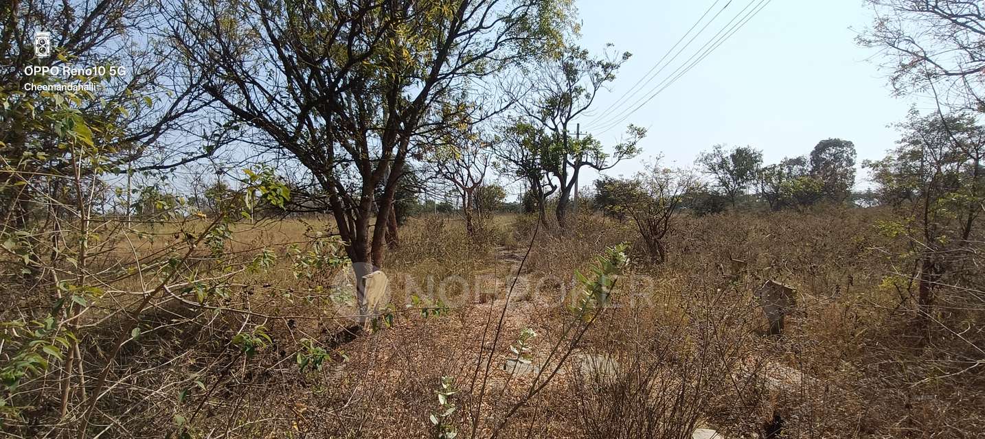 Plot For Sale  In Sivapriya City In Hoskote