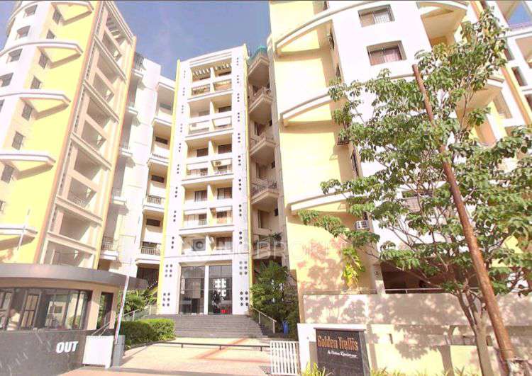 3 BHK Flat In Natu Golden Trellis for Rent  In Balewadi