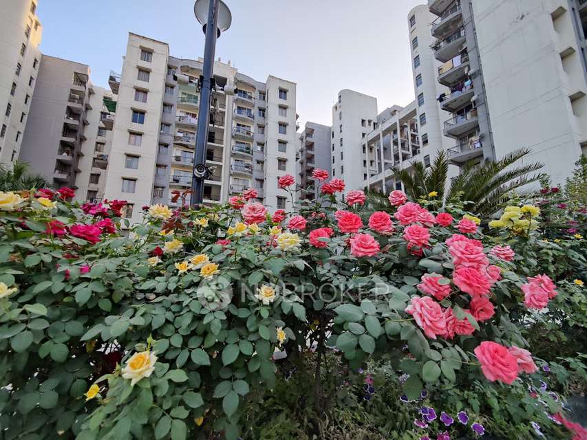 3 BHK Flat In Dja Apartments For Sale  In Sector 13