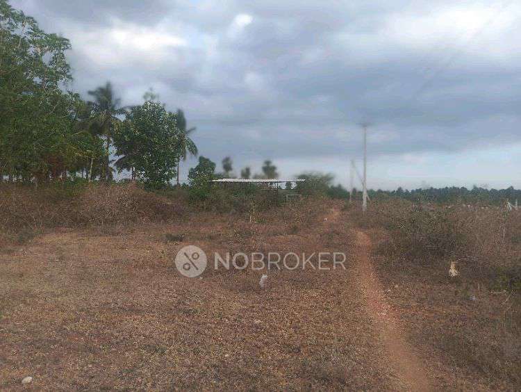 Plot For Sale  In Coimbatore Traders
