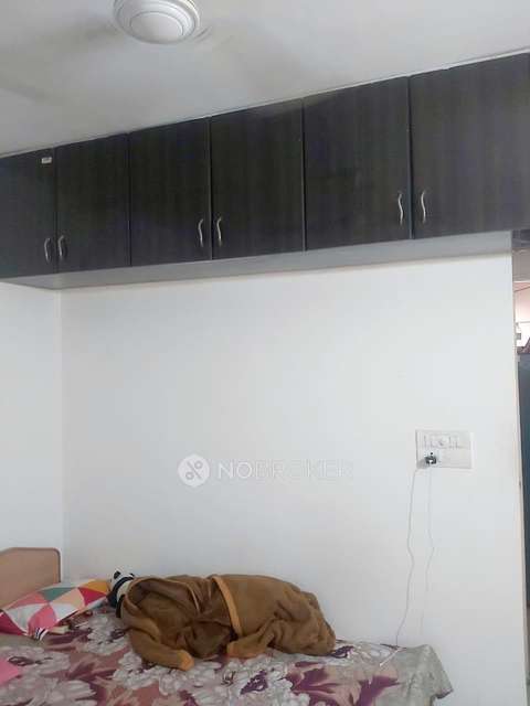 1 BHK Flat In Silver Springs,  Wagholi, Pune for Rent  In  Wagholi, Pune