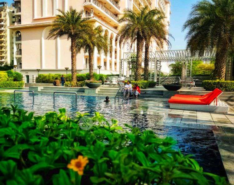 3 BHK Flat In Dlf Sky Court For Sale  In Sector 86