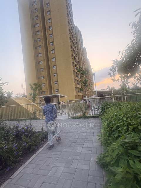 1 BHK Flat In Skylark Apartments Rvr 7a for Rent In Kadam Wasti