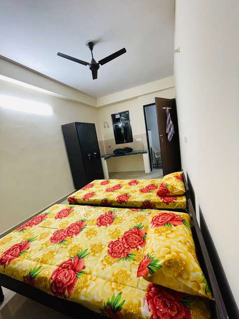 PG for Anyone in Sector 38