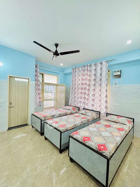 PG for Anyone in Ashok Vihar Phase Iii Extensio