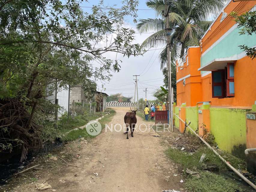 2 BHK House for Rent  In Vanjuvancherry