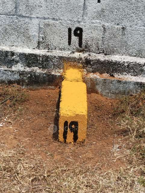 Plot For Sale  In Rajeswari Colony