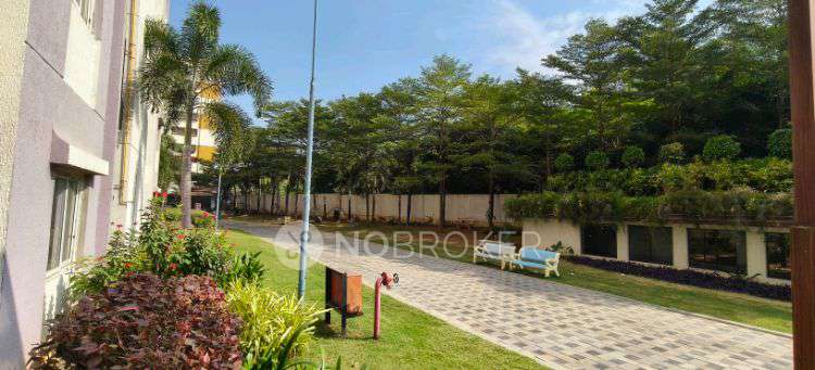 3 BHK Flat In Prajay Megapolis, Kukatpally For Sale  In Ground Floor, Tower-16, Prajay Megapolis, Near Gokul Plots, K P H B Phase 9, Kukatpally, Hyderabad, Telangana 500085, India