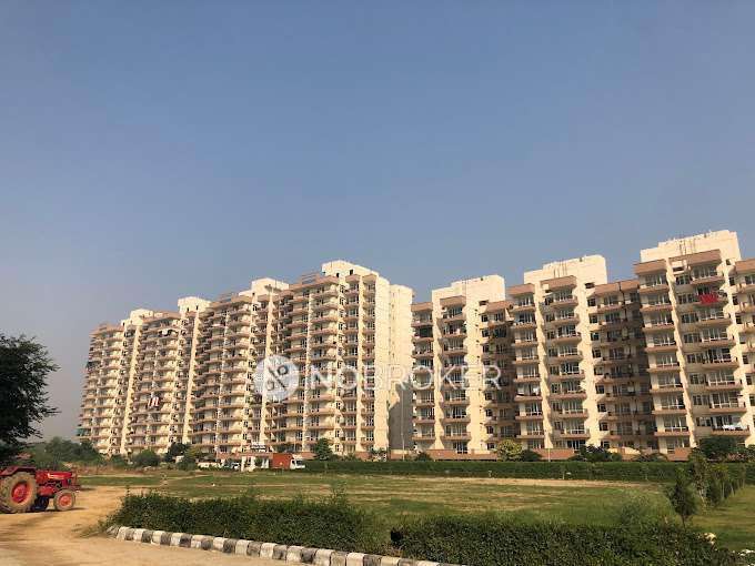 1 BHK Flat In Hcbs Sports Ville For Sale  In Sohna