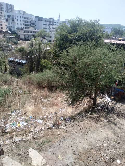 Plot For Sale  In Bhilarewadi
