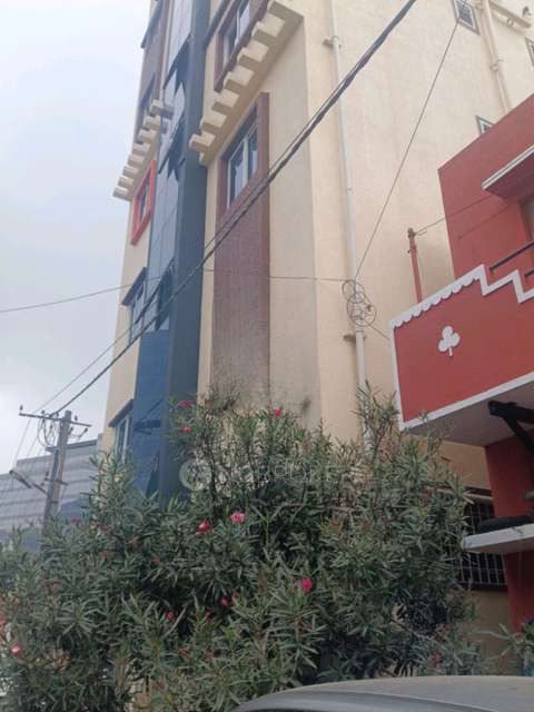 PG for Anyone in Konappana Agrahara