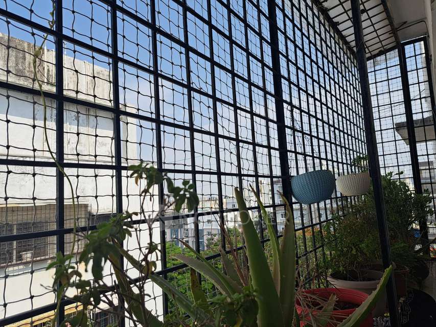 2 BHK Flat In  Eeco Valley for Rent  In Chanda Nagar