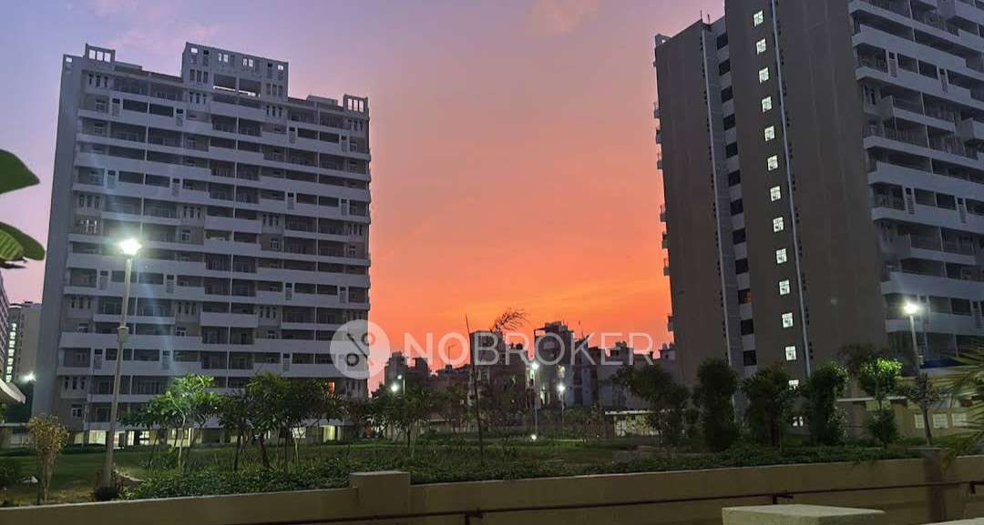 1 BHK Flat In Dwarka Greens, Sector 14 for Rent  In Sector 14