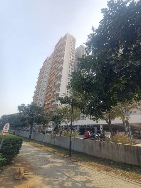 2 BHK Flat In Kolte Patil Life Republic for Rent  In Hinjewadi